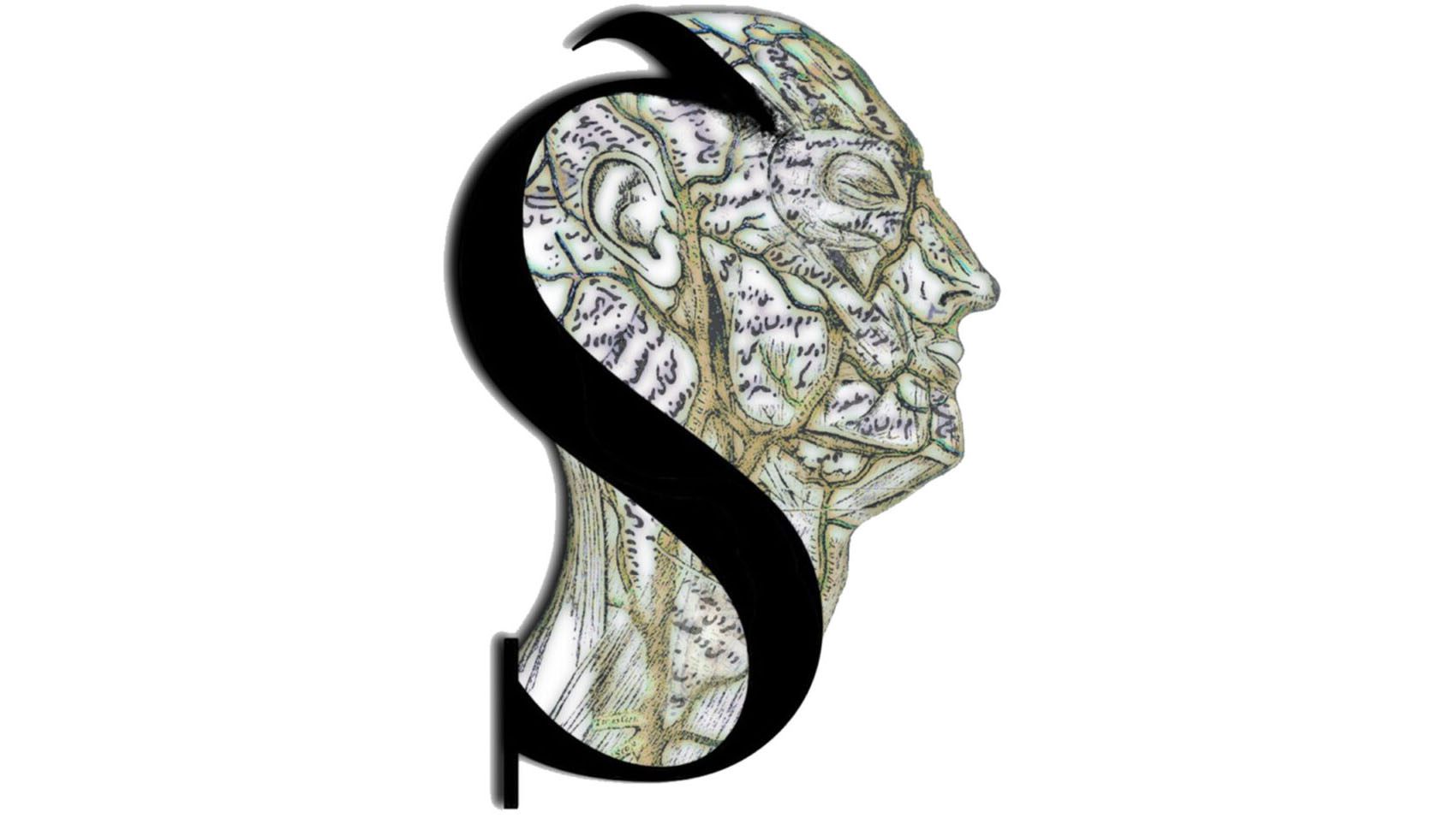 head with S for SENSIS